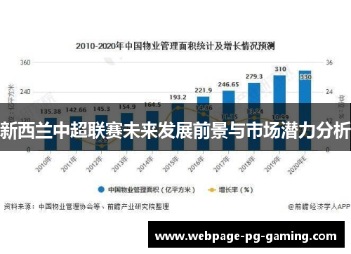新西兰中超联赛未来发展前景与市场潜力分析