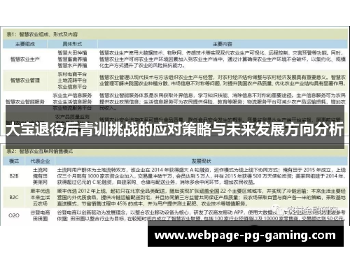 大宝退役后青训挑战的应对策略与未来发展方向分析