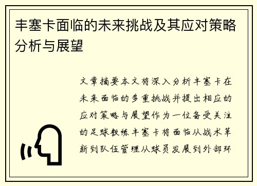 丰塞卡面临的未来挑战及其应对策略分析与展望