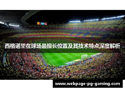 西格诺里在球场最擅长位置及其技术特点深度解析
