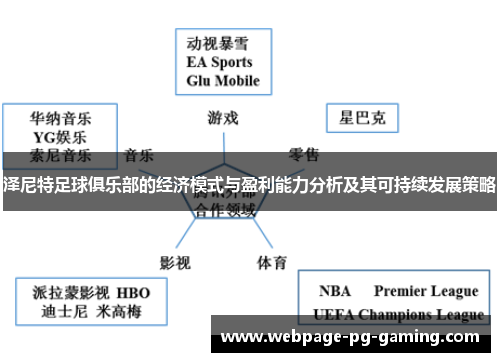 泽尼特足球俱乐部的经济模式与盈利能力分析及其可持续发展策略