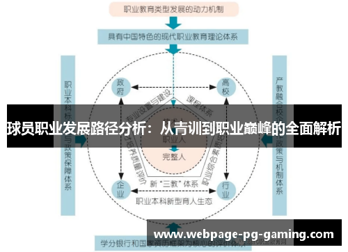 球员职业发展路径分析：从青训到职业巅峰的全面解析